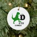 Search for t rex christmas tree decorations Boy