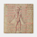 Search for anatomy magnets Medicine