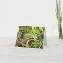 Search for think green cards Frog