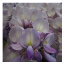 Search for 20x20 posters Semi gloss