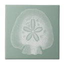 Search for ocean tiles Sand dollar