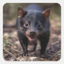 Search for tasmanian devil stickers Wildlife