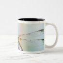 Search for 2 tone mugs Flower