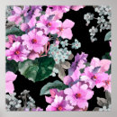 Search for forget me not flower posters Floral