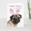 Search for pug easter cards Funny