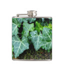 Search for wall barware Ivy