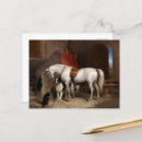 Search for favourites postcards Animals