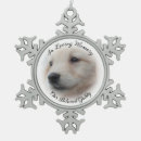 Search for pet memorials Cat