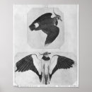 Search for pisanello posters Bird