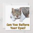 Search for your eye cards Meow