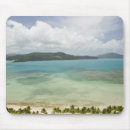Search for queensland mouse mats Oceania