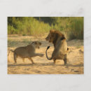 Search for aggression postcards Motion