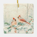 Search for cardinal painting christmas tree decorations Wildlife