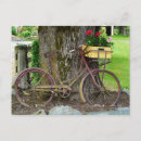 Search for bicycle basket postcards Bike