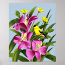 Search for alstroemeria art Flowers