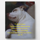 Search for freinds Puppy