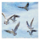 Search for gull posters Bird