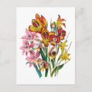 Search for memorialization postcards For her