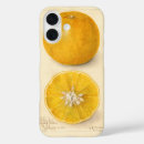 Search for artwork cases Cute