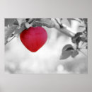 Search for heart shaped posters Apple