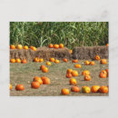 Search for harvest autumn postcards Orange