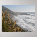 Search for angling posters Sea
