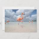 Search for aruba cards Caribbean sea