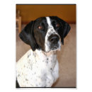 Search for german shorthaired pointer posters Gsp