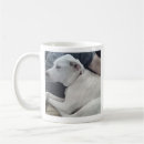 Search for dogs best friend mugs For him