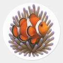 Search for marine biology stickers Ocean life