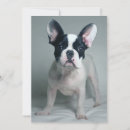 Search for french bulldog thank you cards Canine