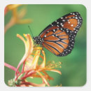 Search for seattle wa stickers Jamie