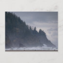 Search for cloud forest postcards Outdoors