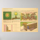 Search for vintage soviet propaganda posters Socialism