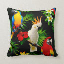 Search for parot Birds