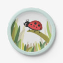 Search for insect plates Ladybug