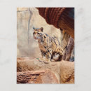 Search for leopard printed postcards Animal