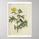 Search for graff posters Merian