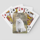 Search for furry playing cards Dog