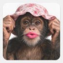 Search for monkey humour stickers Primate