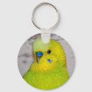 Search for budgie key rings Yellow