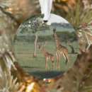Search for tanzania christmas tree decorations Serengeti national park