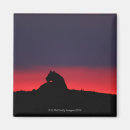 Search for panthera magnets Horizontal