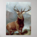 Search for stag posters Mountain