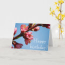 Search for cherry blossom cards Photography