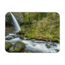 Search for rob magnets Superstock