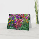 Search for coleus postcards Flowers