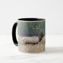 Search for bull elk mugs Nature