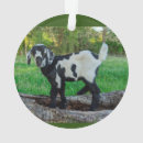 Search for baby goat christmas tree decorations Cute