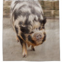 Search for ugly shower curtains Funny